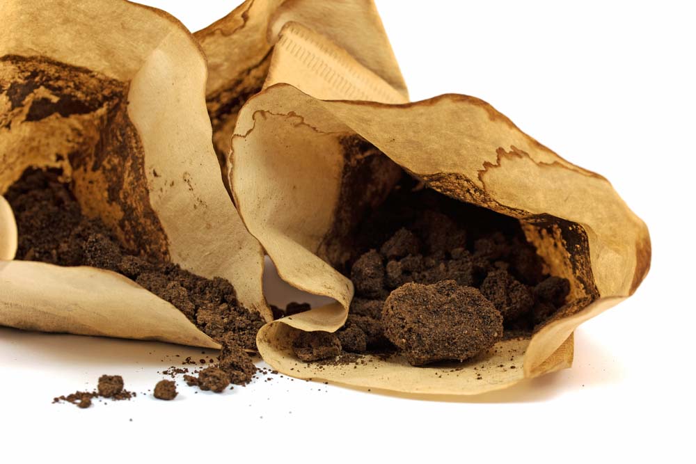 coffee grounds on used coffee filter